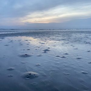 Meet your Posher, Lexii